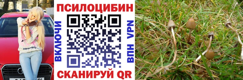 Галлюциногенные грибы ЛСД hydra ссылка Краснослободск