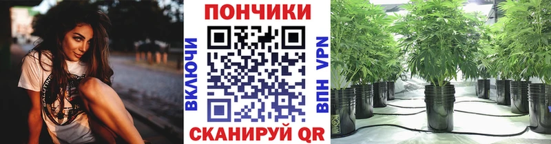 сайты даркнета телеграм  Краснослободск  Бошки марихуана Ganja  blacksprut ссылка 
